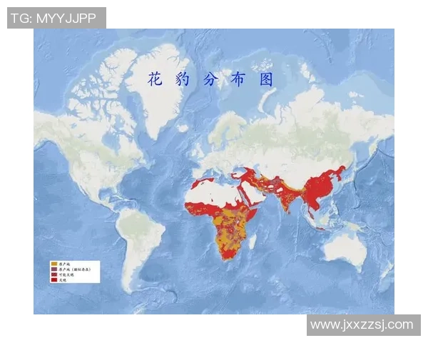 加蓬与几内亚比绍的足球对决分析及赛前预测