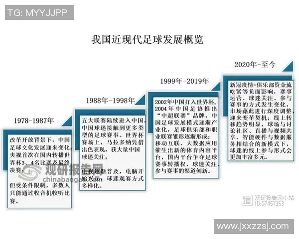 卢卡库在国际赛场的崛起与挑战解析及其对足球未来的影响