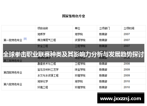 全球拳击职业联赛种类及其影响力分析与发展趋势探讨